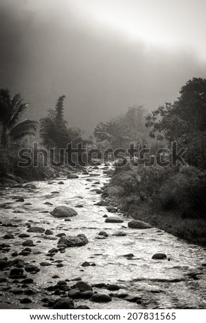 A mountain stream emerges from fog and mist. A stream coming through the mist