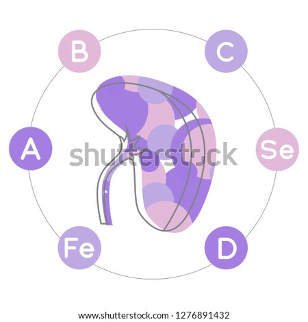 Vitamins and minerals for healthy spleen. Micro and macro elements and vitamins: A, B, C, D, Se, Fe and other vector elements. Abstract illustration in violet colors. Stock foto © 
