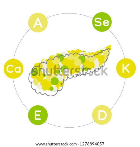 Vitamins and minerals for healthy pancreas. Micro and macro elements and vitamins: A, E, D, K, Ca, Se and other vector elements. Abstract illustration in green and yellow colors. Stock foto © 