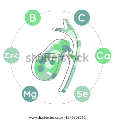 Vitamins and minerals for healthy gallbladder. Micro and macro elements and vitamins: B, C, Ca, Zinc, Mg, Se and other vector elements. Abstract illustration in green colors. Stock foto © 
