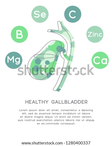 Minerals and vitamins for healthy gallbladder. Illustration of vitamins B, C, Ca, Zinc, Mg, Se  in a rounded scheme. Abstract vector banner with the place for your text. Stock foto © 