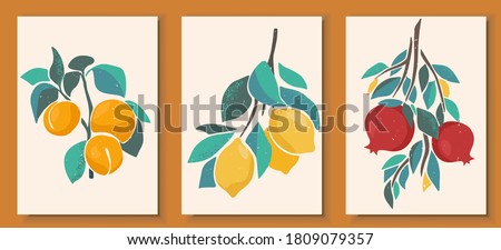 Abstract still life in pastel colors posters. Collection of contemporary art. Abstract paper cut elements, fruits and berries for social media, postcards, print. Hand drawn apricot, lemon, pomegranate