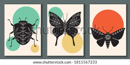 Abstract poster collection with hand drawn, insects: bug, moth, butterfly. Set of contemporary scandinavian print templates. Ink beetles with floral ornament and geometrical shapes on back