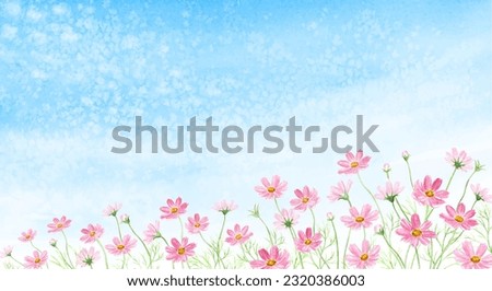 Watercolor illustration of cosmos flower field in autumn sky painted by watercolor
