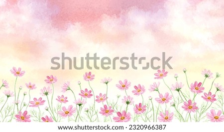 Watercolor illustration of cosmos flower field in autumn sky painted by watercolor