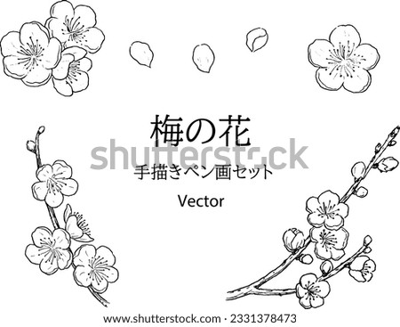 Plum  blossom hand drawn pen drawing set.  Vector illustration. Japanese it is written 