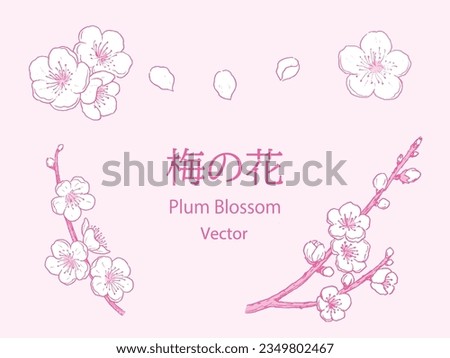 Vector illustration of plum blossom set. Japanese it is written 