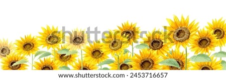 Similar – Image, Stock Photo Sunflower Field