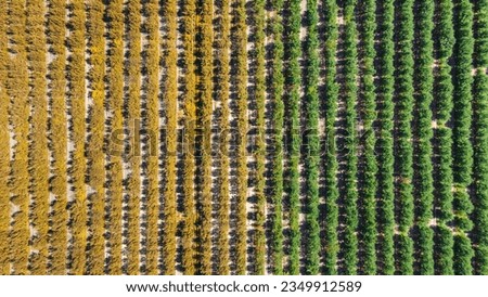 Similar – Image, Stock Photo aerial photo one