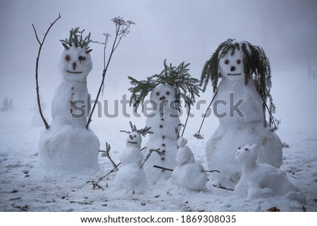 Similar – Image, Stock Photo Snowman standing in foggy winter forest