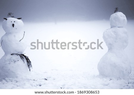 Similar – Image, Stock Photo Snowman standing in foggy winter forest