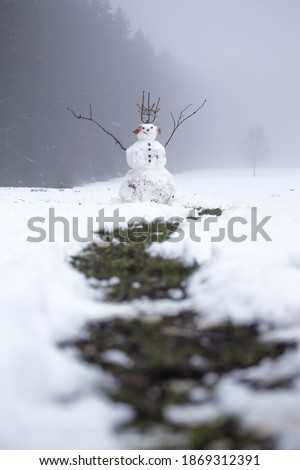 Similar – Image, Stock Photo Snowman standing in foggy winter forest