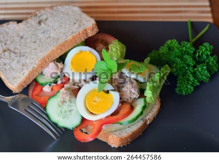 Rye bread sandwich with tuna fish, tomato and cucumber slices on the brown plate on the table