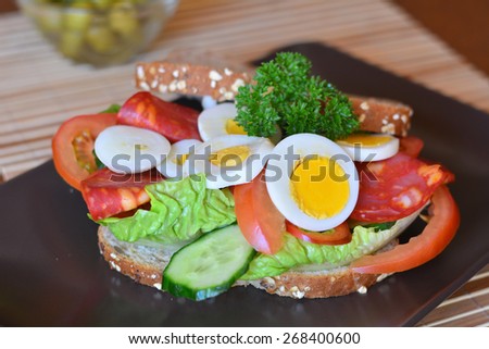 Fresh and tasty sandwich with salami and vegetables on a brown plate on a table