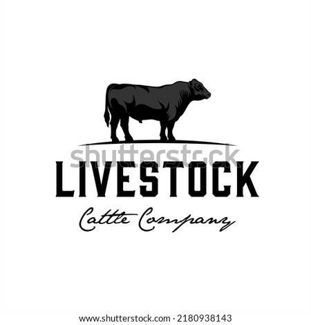 Black angus cattle logo with masculine style design