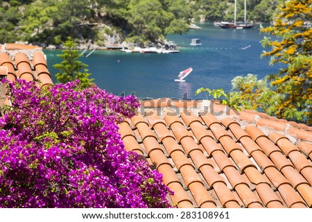 Beautiful summer flowers with red-tiled roofs house view. Summer house with windsurfer background of nature on a sunny day