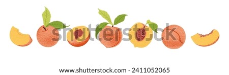 Fresh Peach fruits and slices of peach set. Vitamin Fruit. Vector illustration, isolated on white background