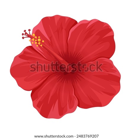 Vector illustration of a red hibiscus flower