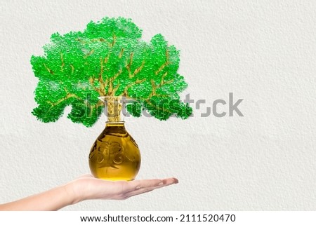 Extra virgin olive oil. Extra virgin olive oil in a glass oil jar on a woman's hand with olive tree hand drawn. Concept of olive oil as a health and beauty product Stock foto © 