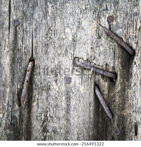 Rusty Nails in an Old Board
