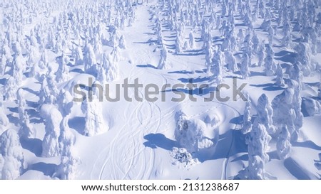 Similar – Image, Stock Photo Frost covering the famous vineyards of Bernkastel-kues in Germany