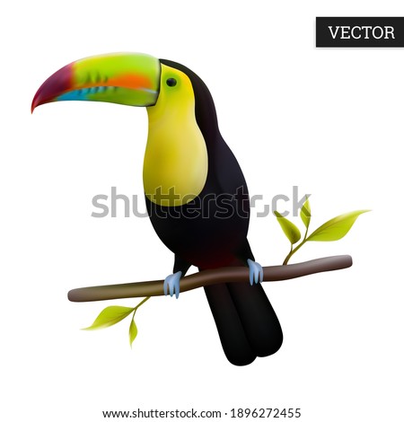 Keel-billed Toucan isolated on a white background. Realistic (Ramphastos sulfuratus) national bird of Belize. Vector illustration 3D. Rainbow-billed toucan on branch. Wild bird icon. Design element.