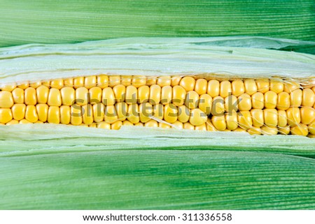 Grains of ripe corn can be used as Background.