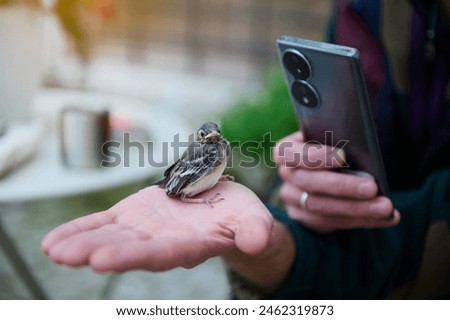 Similar – Image, Stock Photo Person holding phone macro