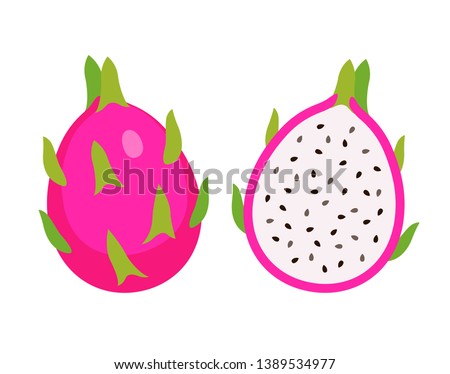cut half and whole dragon fruit, Summer tropical fruit, cartoon flat icon, vector illustration sketch isolated on white background