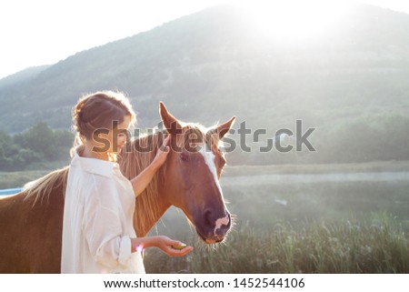 Similar – Image, Stock Photo horses in the sunset