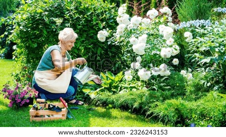 Similar – Image, Stock Photo Woman planting flowers in pot at table