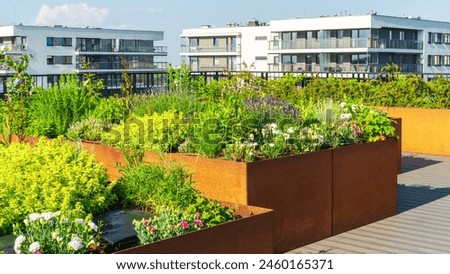 Similar – Foto Bild Urban Gardening Pflanzen im Nachbarschaftsgarten