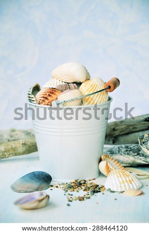 seashells, sea summer theme