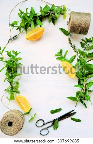 frame with mint and lemon, background for text or logo