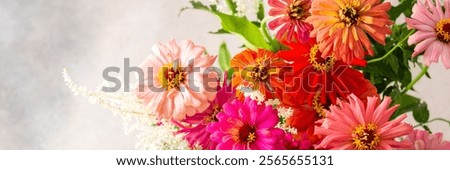 Similar – Image, Stock Photo Inflorescence of a zinnia; hybrid with white ray florets