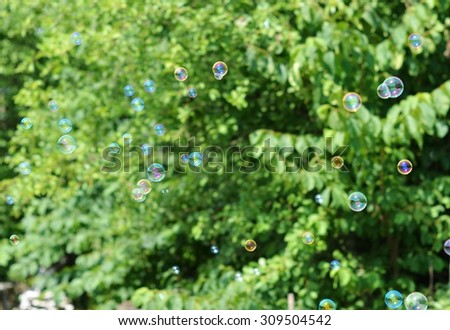 Soap bubbles on a background of green trees