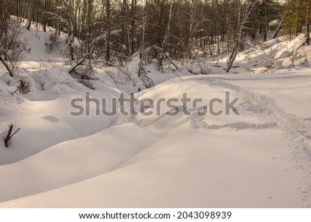 Similar – Image, Stock Photo Animal crosses the piste at high speed