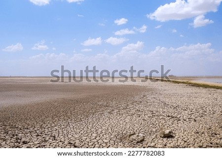 Similar – Image, Stock Photo Nice cracked mud dryness