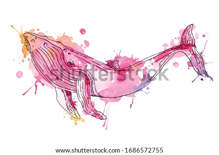 Painting of colorful whales painted with watercolors.Underwater animal illustration.Fish painting isswimming on a white background.Aquatic animals painted with brushes.