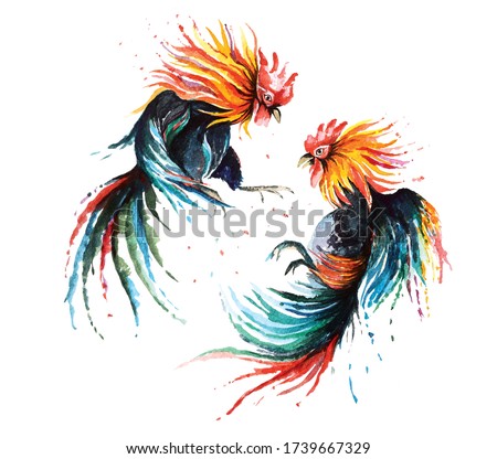 Cockfighting Vector Art | Download Free Vector Art | Free-Vectors