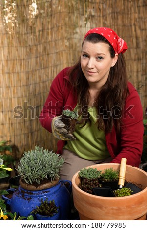 Woman gardening and poting some plants in front of a bamboo fence.