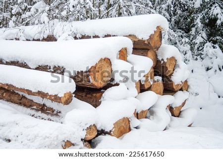 winter wonder land - heating with wood?