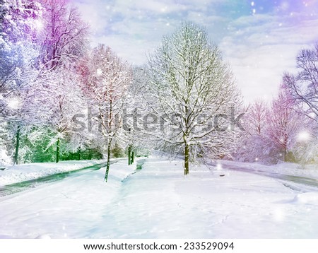 winter wonder land - color design