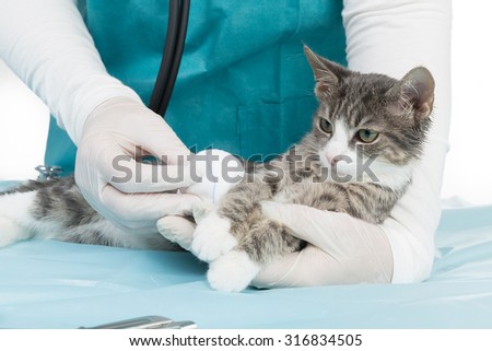 animal treatment