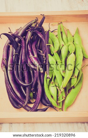 vintage photo of  young bean pods