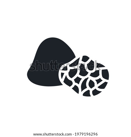 Black truffle silhouette. Black isolated silhouettes. Fill solid icon. Modern glyph design. Vector illustration. Mushrooms. Food ingredients.
