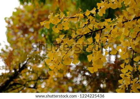 Shutterstock Puzzlepix