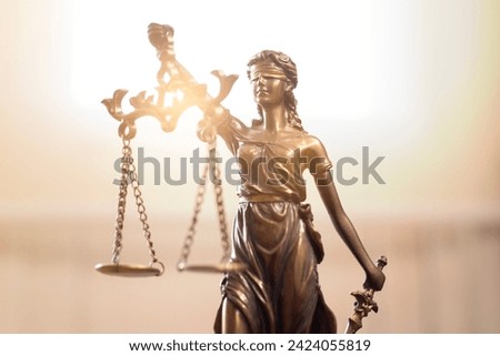 Similar – Image, Stock Photo Statue of Justice from behind