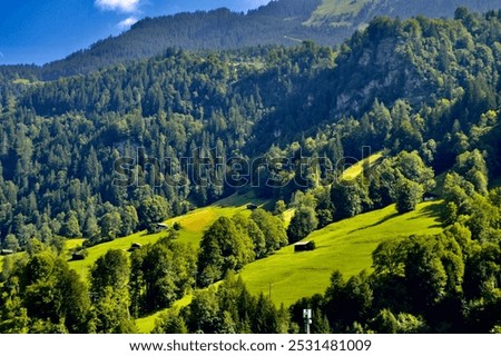 Similar – Foto Bild Schweizer Alpental im Morgenlicht