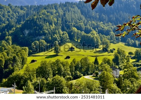 Foto Bild Schweizer Alpental im Morgenlicht